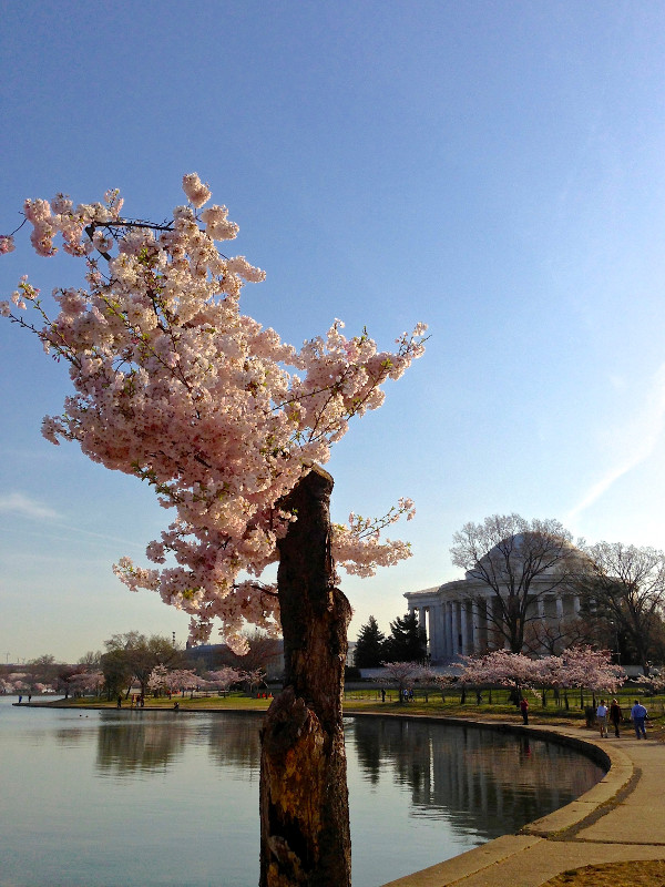 U.S. Capitol Building